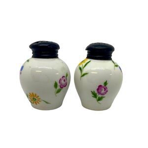 Rosenthal Selb Germany Salt & Pepper Shakers Hand Painted Floral